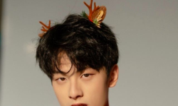 圣诞麋鹿迷路了