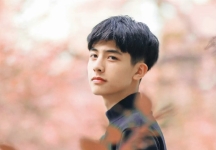 超感人的同志小说：花开无声