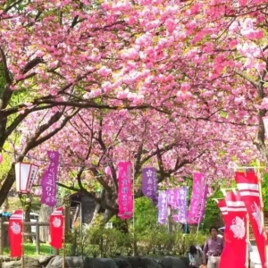 从日本到中国：一对同性情侣的跨国恋