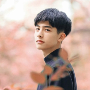 超感人的同志小说：花开无声