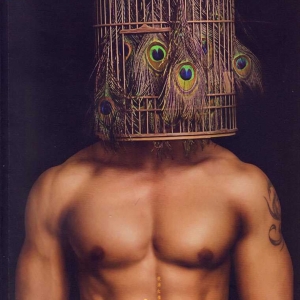 杜达雄 ｜ 魔男志青春鸟集