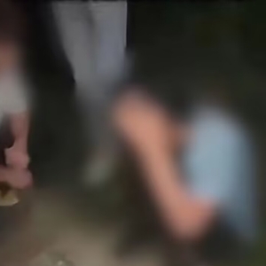 最新！“郑州人民公园打人事件”，17 人被抓